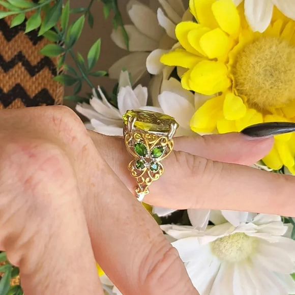 Ouro Verde Quartz & Chrome Diopside Ring. - Picture 3 of 10